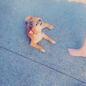 Meet your Posher, Heather